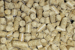 Woodminton biomass boiler costs